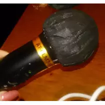 紫音