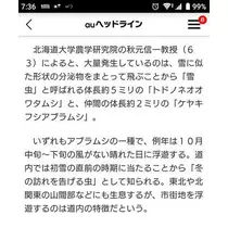 ひな