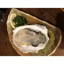 宝條 夏恋