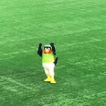 蓮