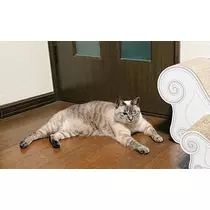 ひな