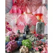 紫月 あやか