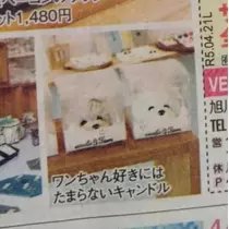 ひな