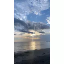 はる