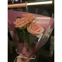 白石 愛莉