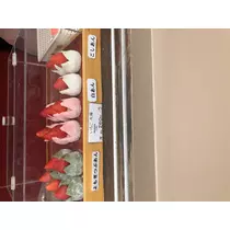 宝條 夏恋