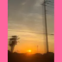 さつき