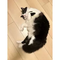 るい