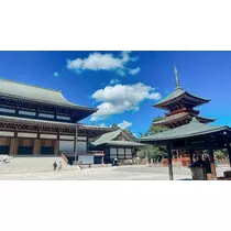 小川 真央