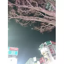 ちよママ
