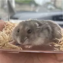 ゆな