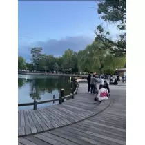 宝條 夏恋