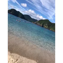 りん