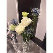 神崎 蘭