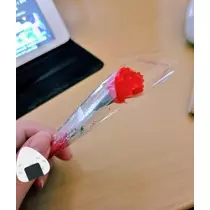 ひな