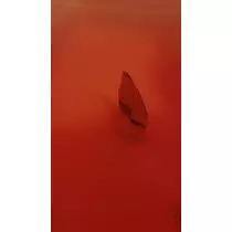 のあ
