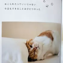 紫音