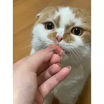 れみ