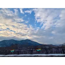 咲良 水月