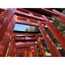 しずか