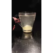 猫羽 のん