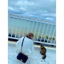 紗貴