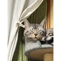 あーだこーだそら