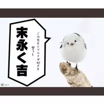 ひな