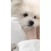 朝陽 凪