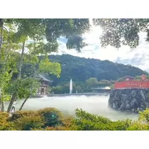成海 まお