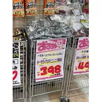 寒河江 春紀
