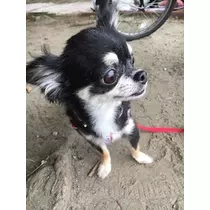 みあ