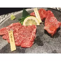 七海 琴音