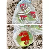 愛羽 仁美