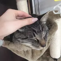 愛羽 仁美