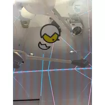 らん