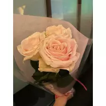 白石 愛莉