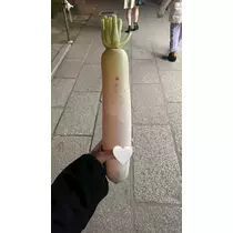 ひじり