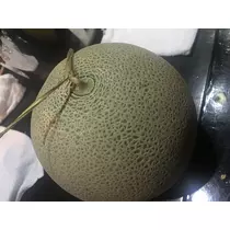 七星 夏純
