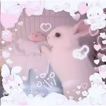 愛眠寝 はづき