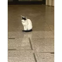 ゆあ