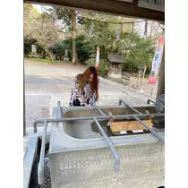 美月