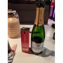 宝條 夏恋
