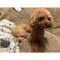 うい
