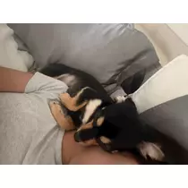 紬 ひかる