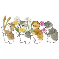 あいら