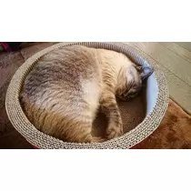 ひな