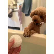 あいりちゃん