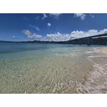 あおい