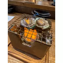 七星 舞冬